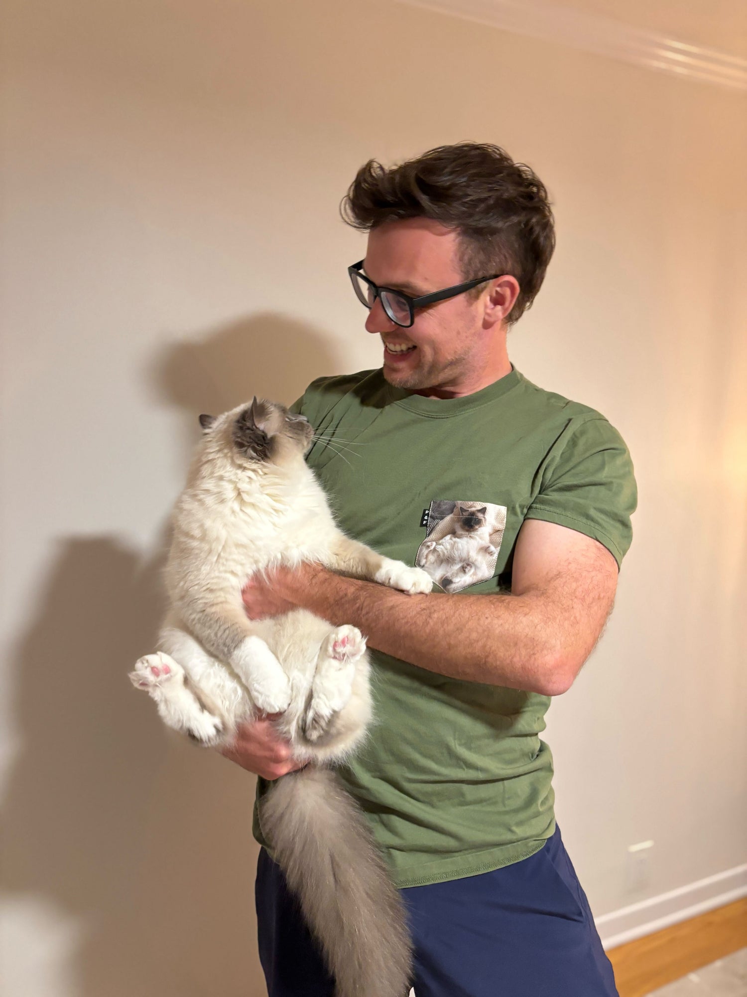 Sauvé par des photos de chats