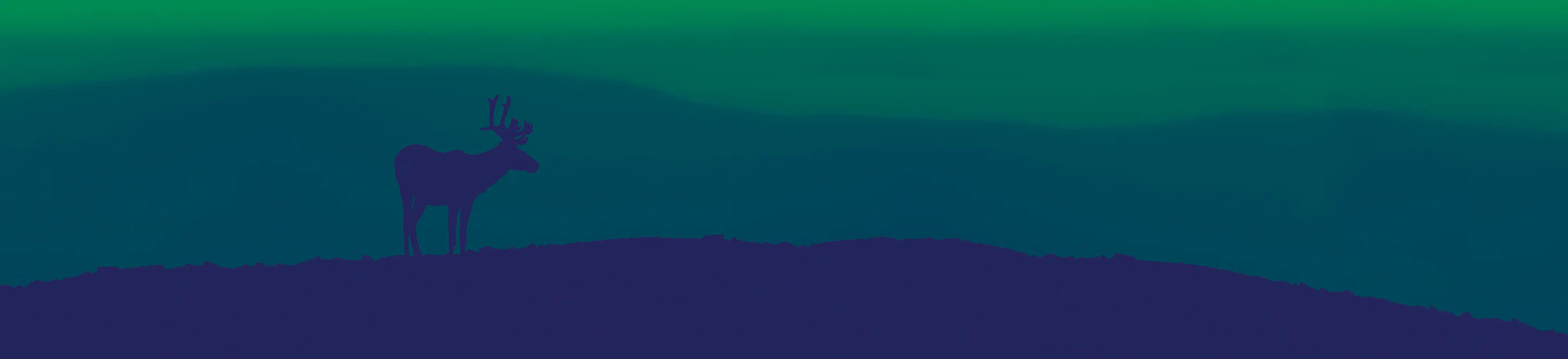 Poches & Fils x Caribou, je t'aime