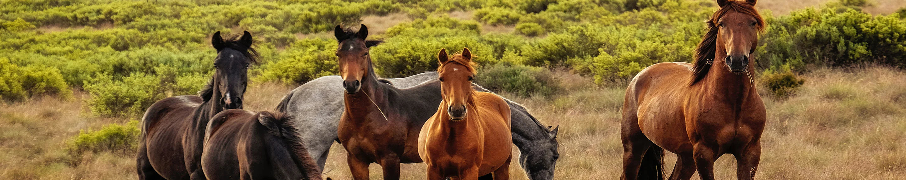 Poches & Fils x Les Gens