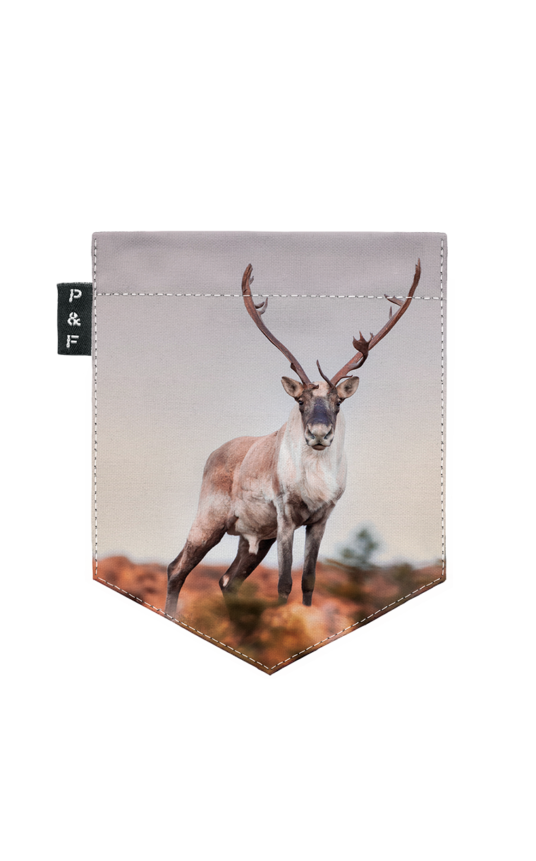 Tote Bag à poche Vintsinçenne