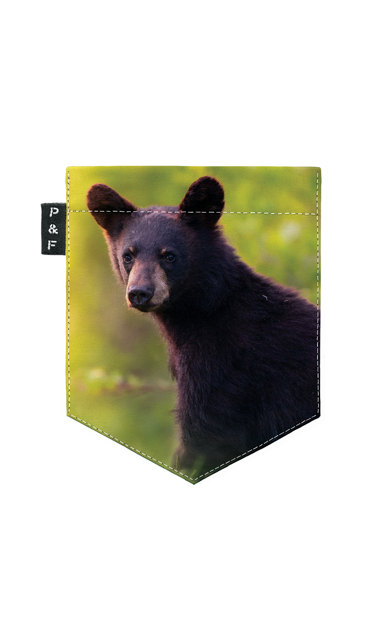 Tote Bag à poche La moyenne ours