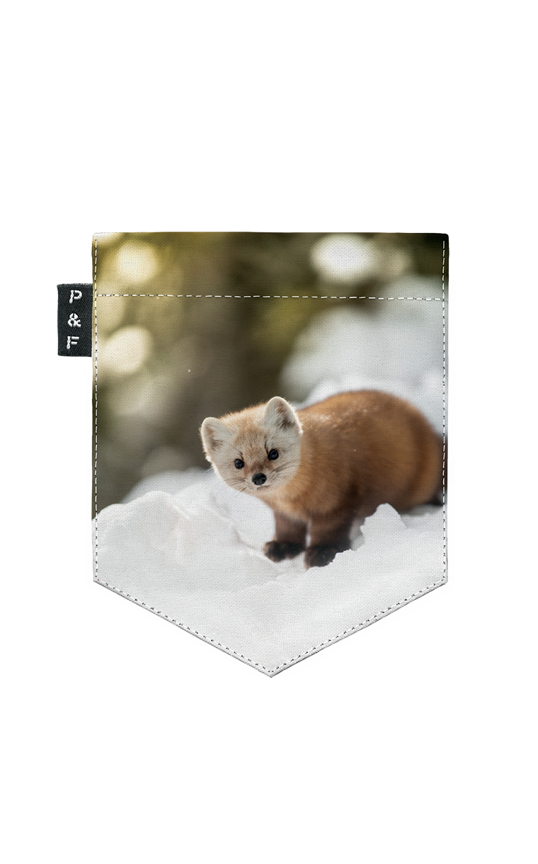 Tote Bag à poche Martre Labrèche