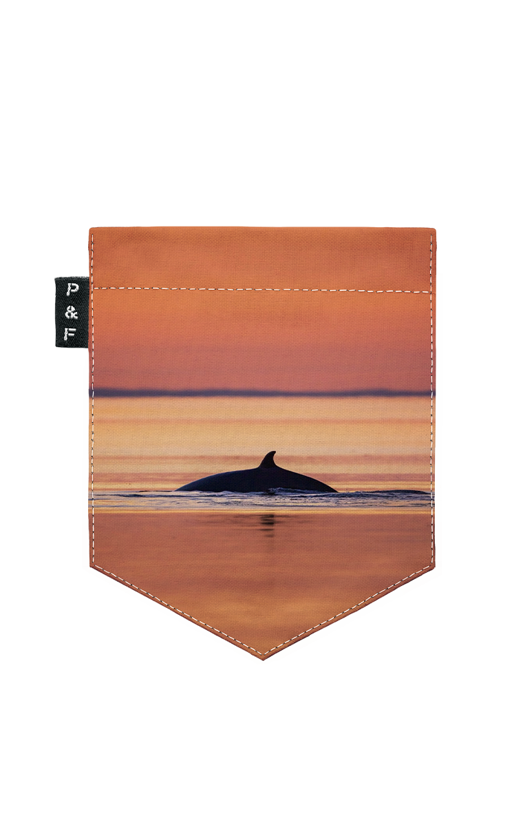 Crewneck Qc à poche Rorqualternatif