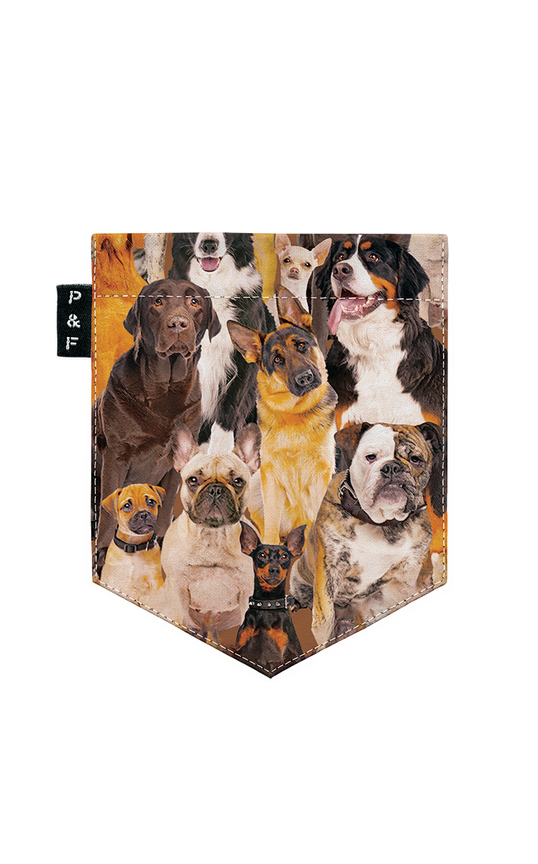 T-shirt coupe Boyfriend à poche Who let the dogs out