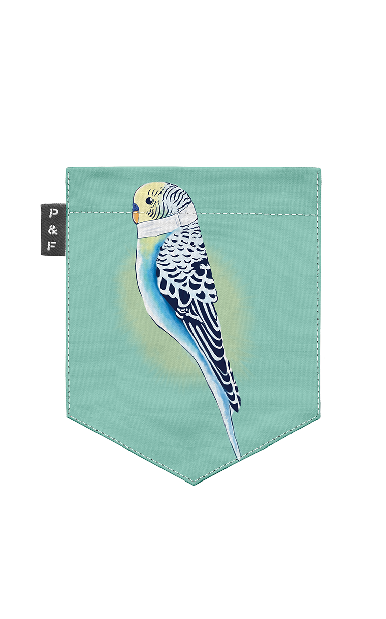 T-shirt coupe Boyfriend à poche Belle Perruche