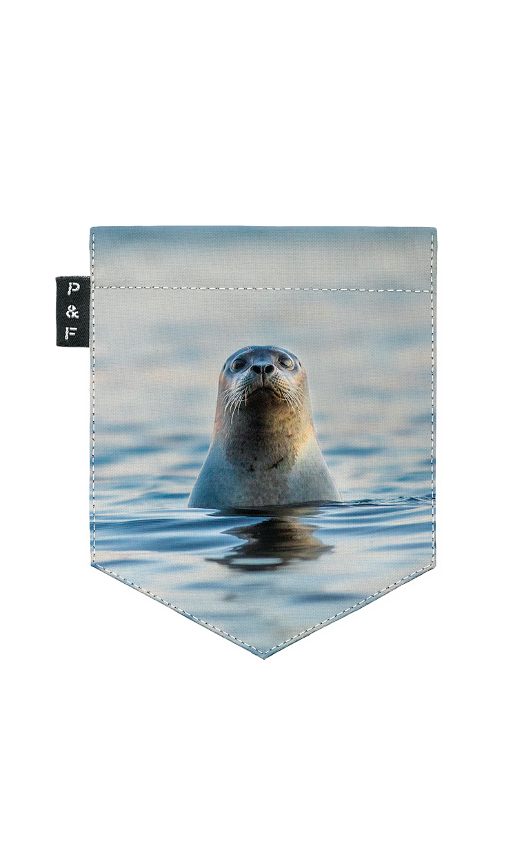 Phoquaccia Pocket Crop Top T-Shirt