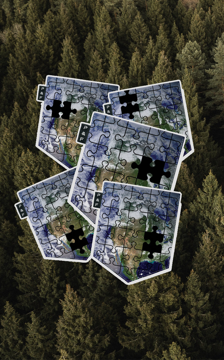 T-shirt coupe Boyfriend à poche Jour de la terre 2022