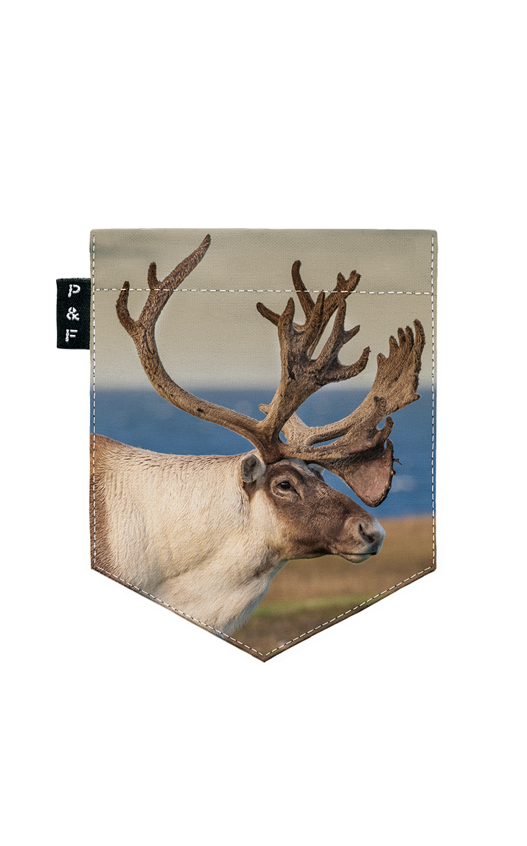 Col en V semi-ajusté à poche Trente Sous