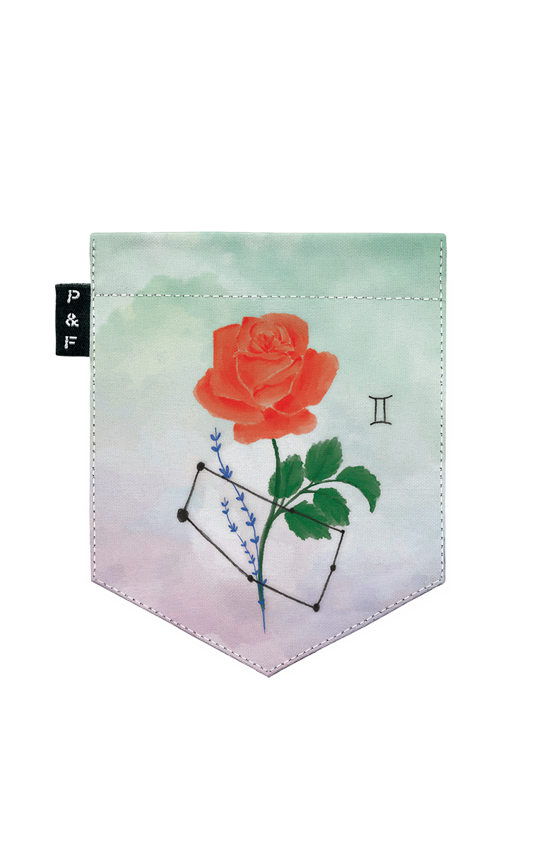 Gemini Cricket Boyfriend Pocket T-Shirt