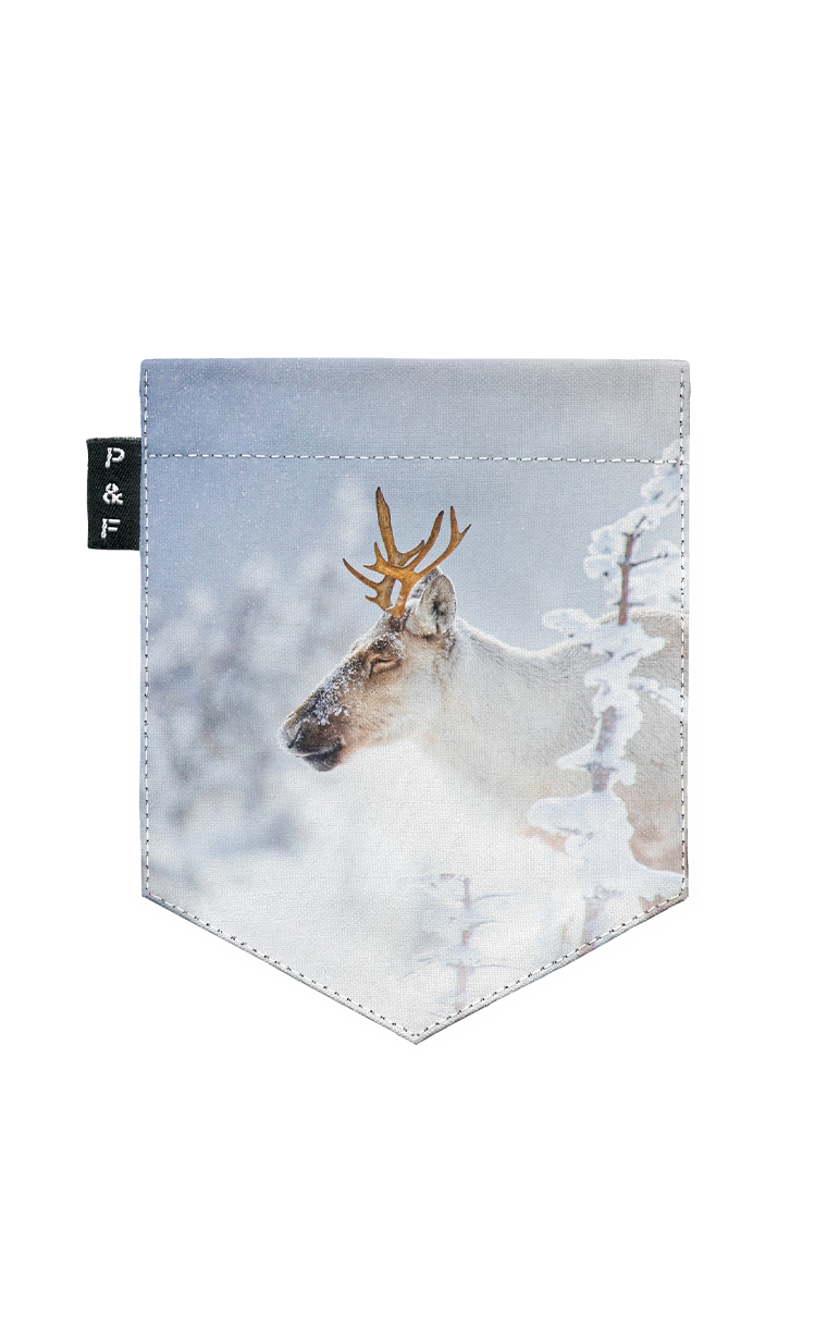 T-shirt « crop top » à poche Roi de la montagne