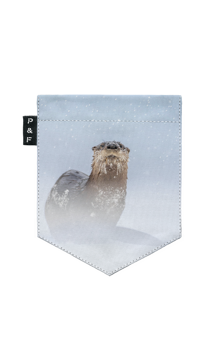 Loutre and larry adjust long sleeve pocket sweater