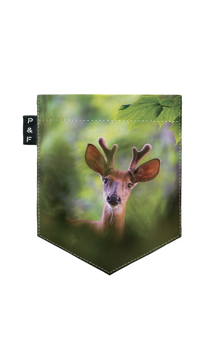 Pathetik Deer Pocket T-Shirt